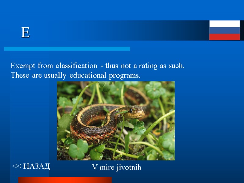 E Exempt from classification - thus not a rating as such.  These are